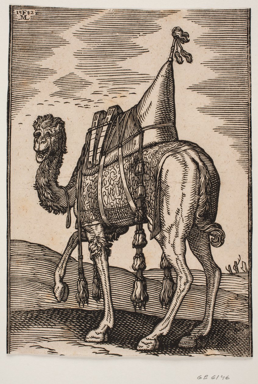 A Saddled Camel by Melchior Lorck