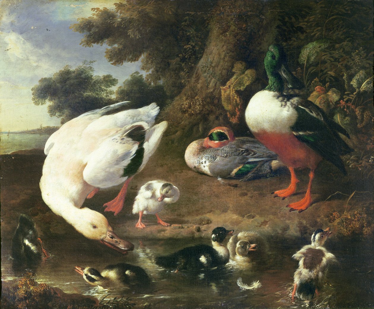 Farmyard ducks by Melchior de Hondecoeter