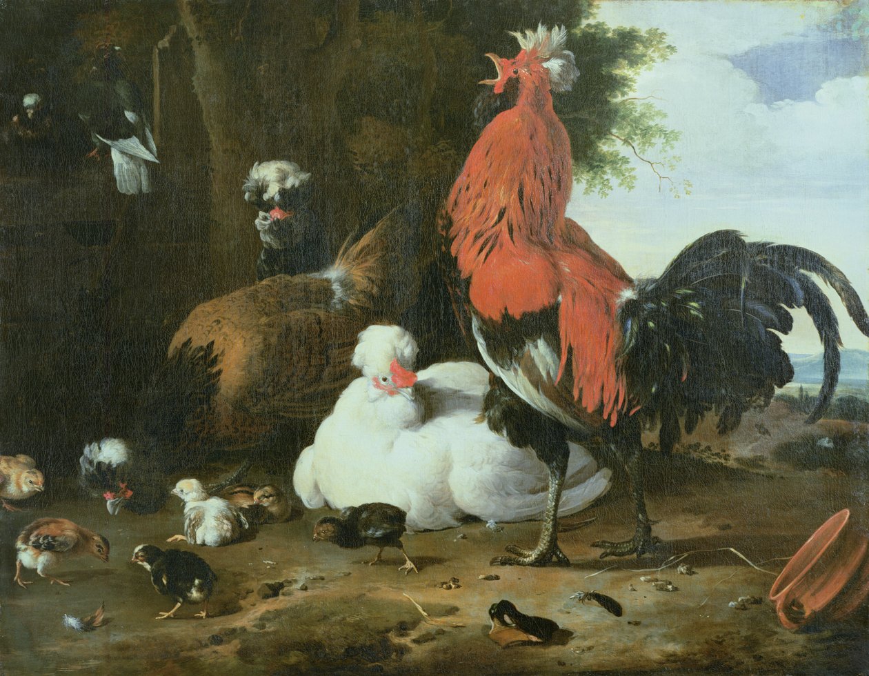 Farmyard Fowls with Pigeons by Melchior de Hondecoeter