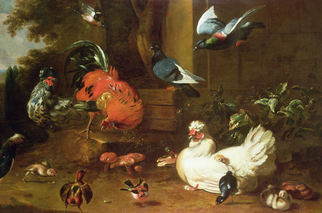 Poultry in Parkland by Melchior de Hondecoeter