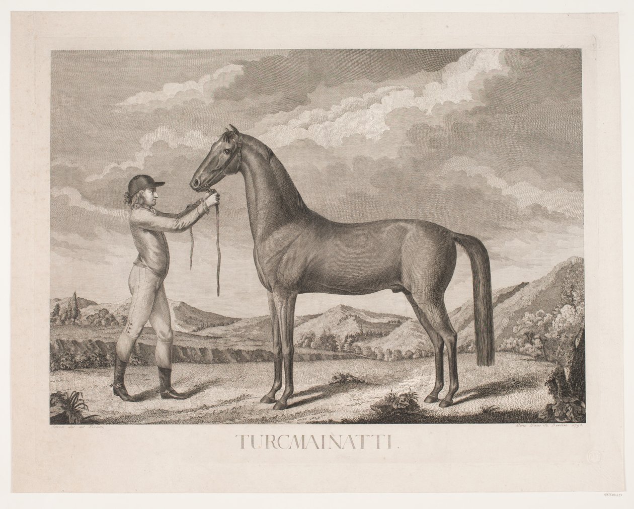 The Horse 