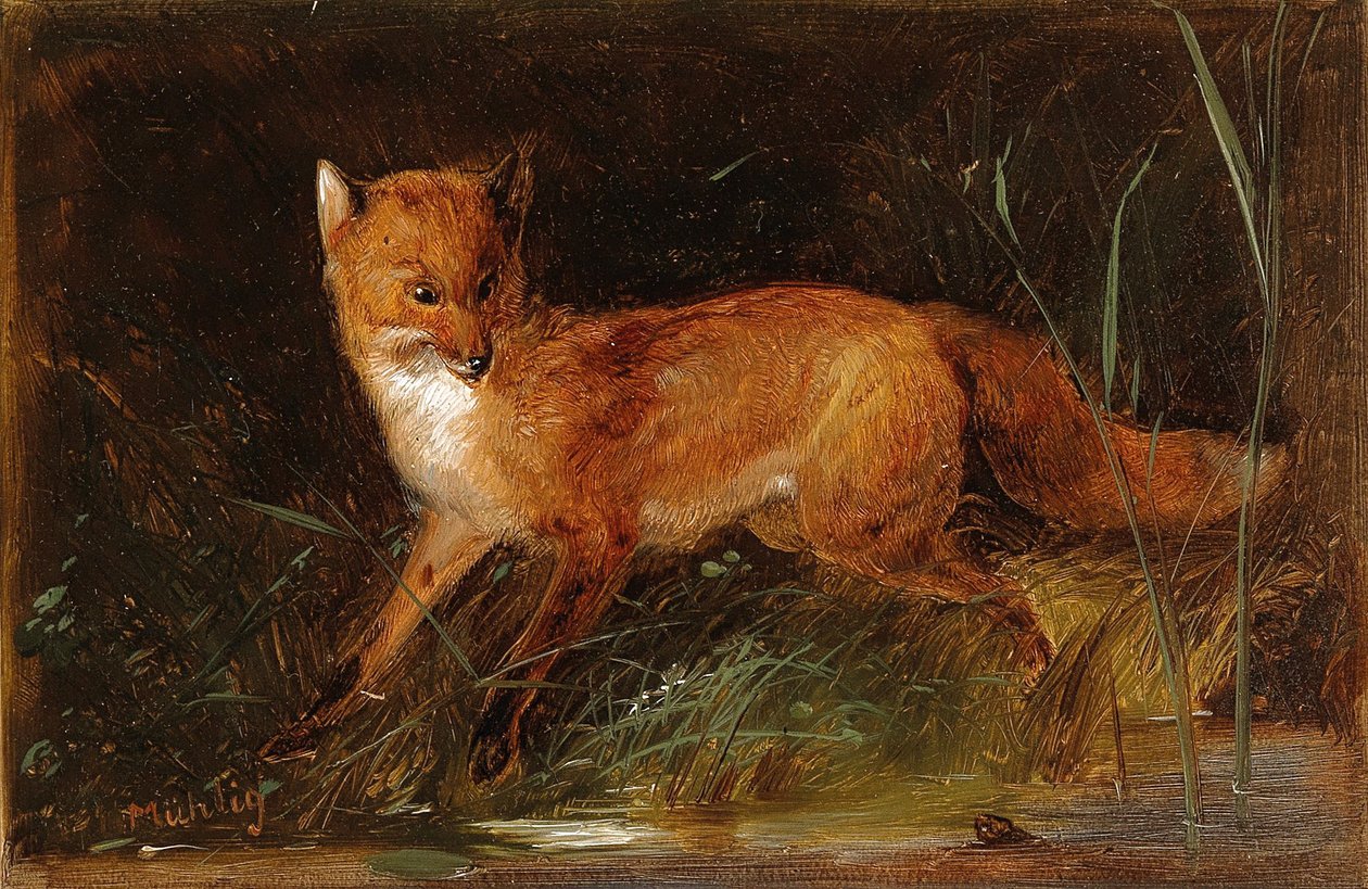 Meno Mühlig Fuchs by Meno Muhlig