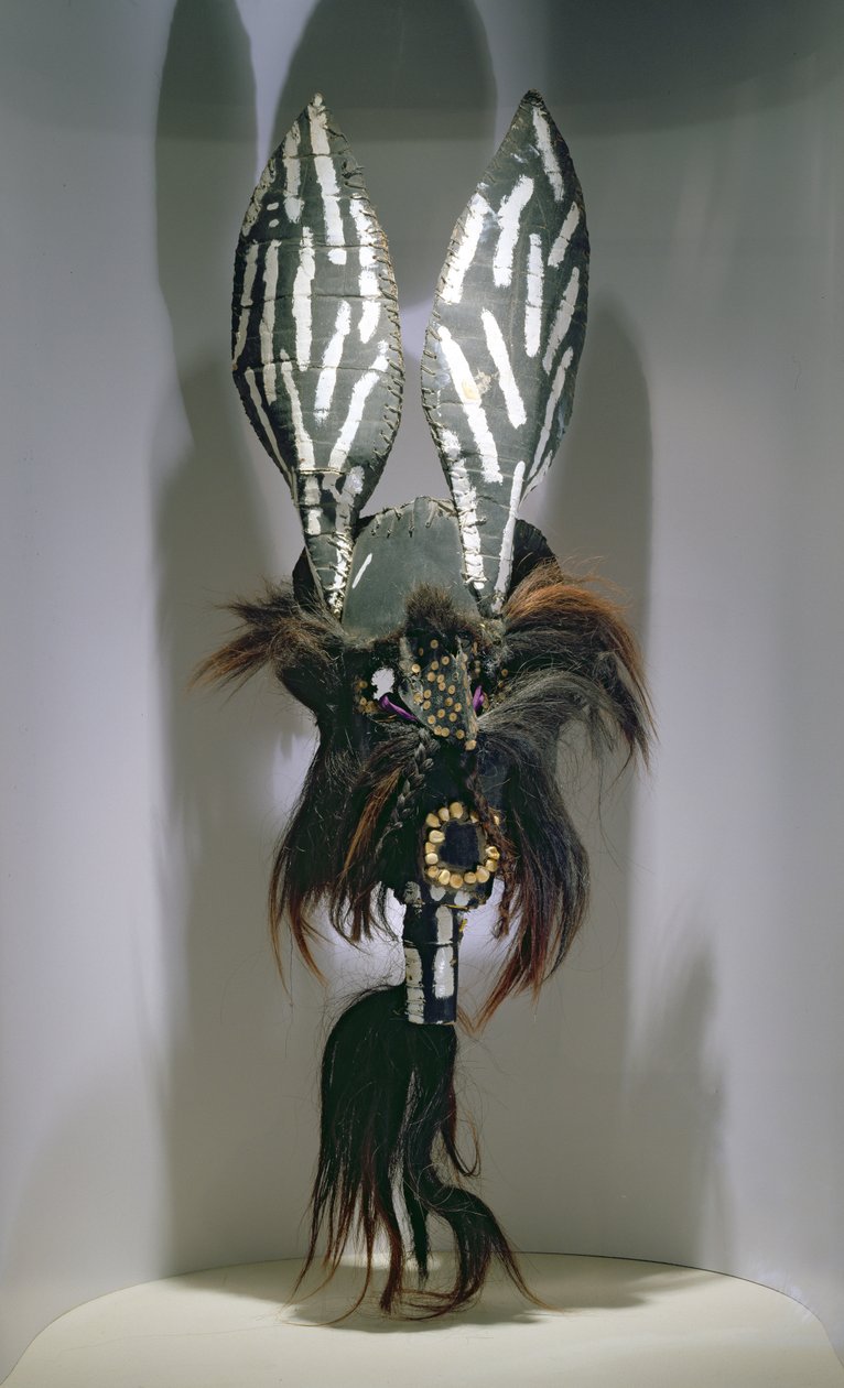Costume mask used by the Zapotec peoples of the Oaxaca region of Mexico by Mexican School