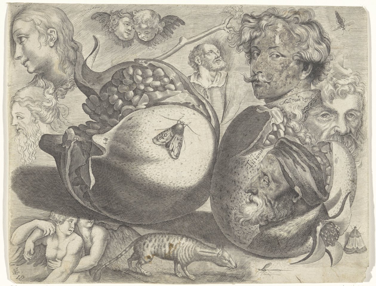 Study sheet with drawing examples: heads, figures, fruits, animals by Michael Snijders