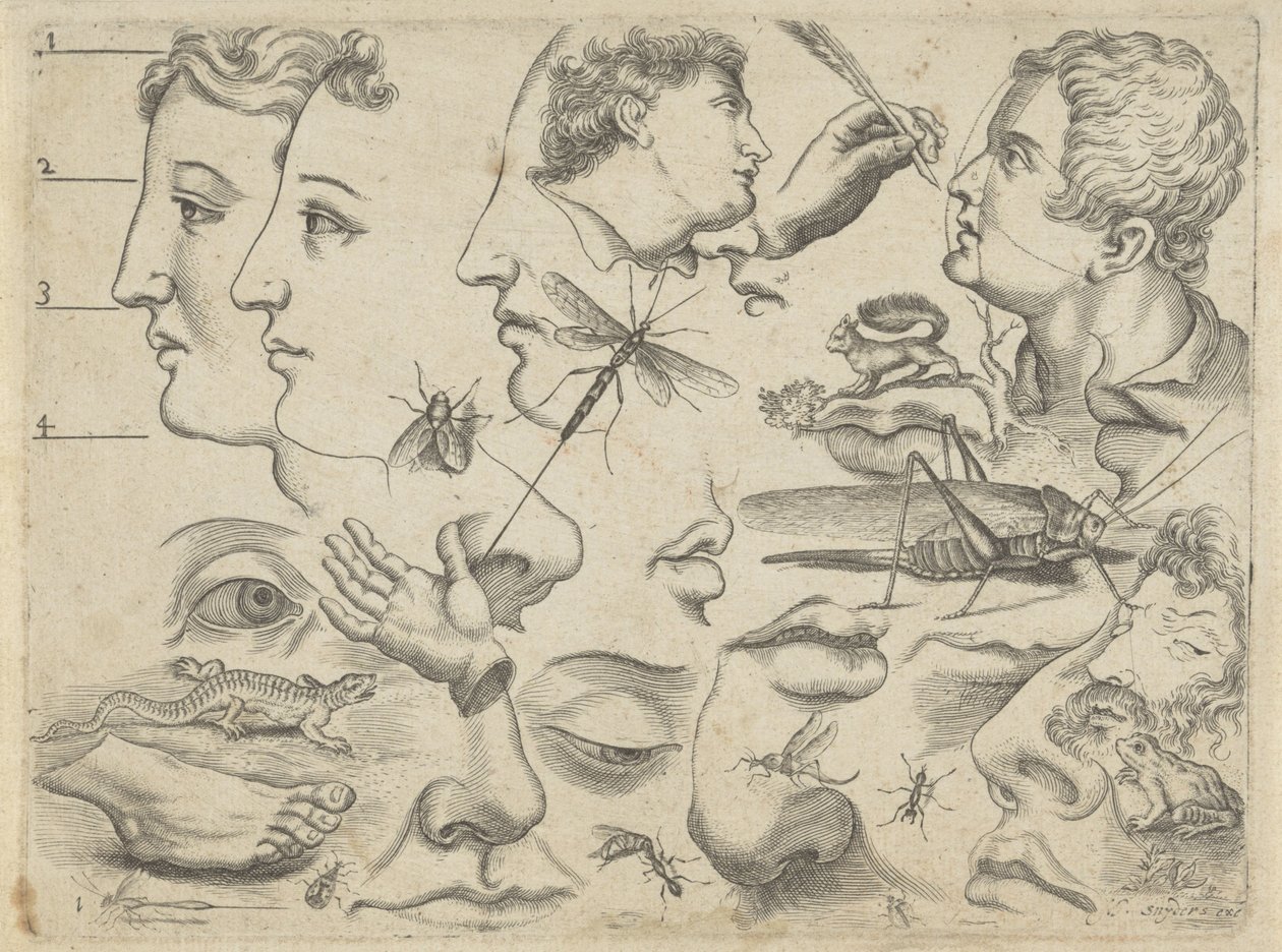 Study Sheet with Drawing Examples: Heads, Body Parts, and Animals by Michael Snijders