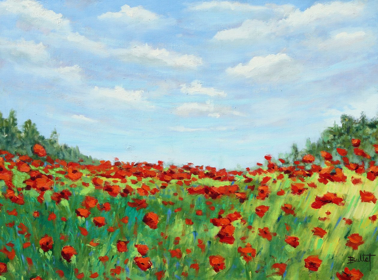 Field of Poppies, 2003 by Michel Bultet