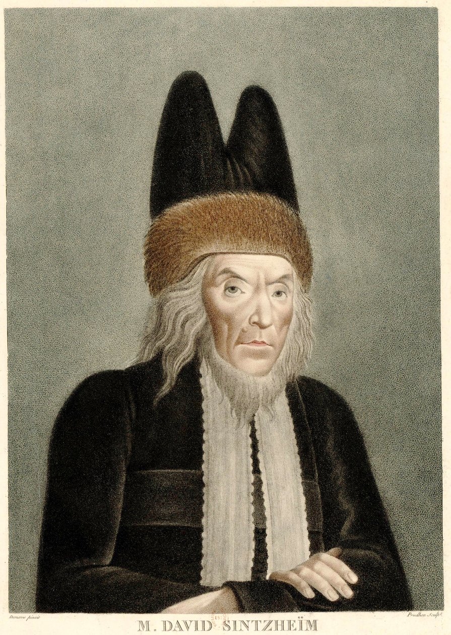 Portrait of David Sintzheim by Michel François Damame Demartrais