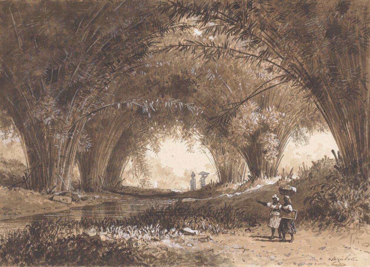 Bamboo Arches, St. Anns by Michel Jean Cazabon