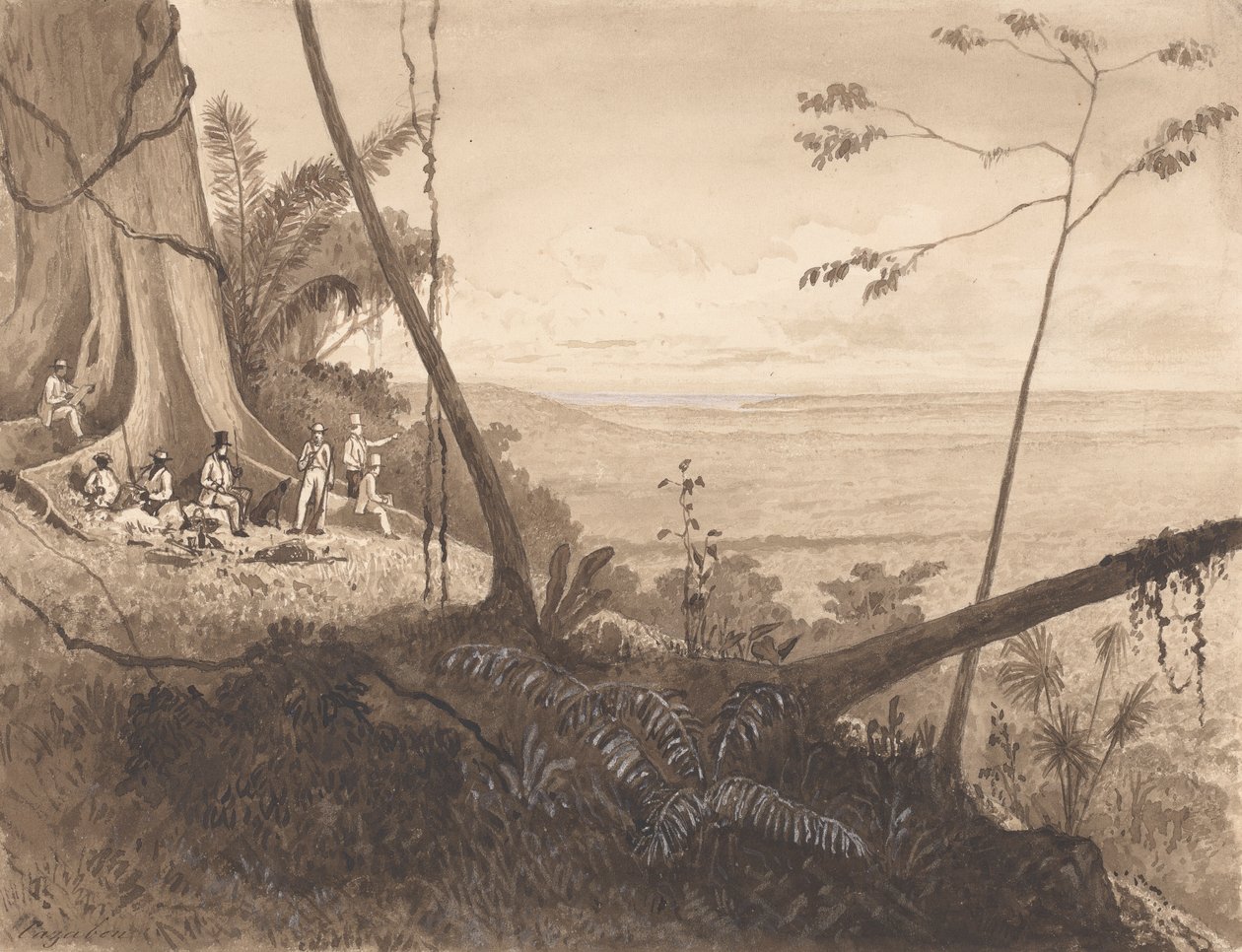 Cedar Point, Mount Tamana by Michel Jean Cazabon