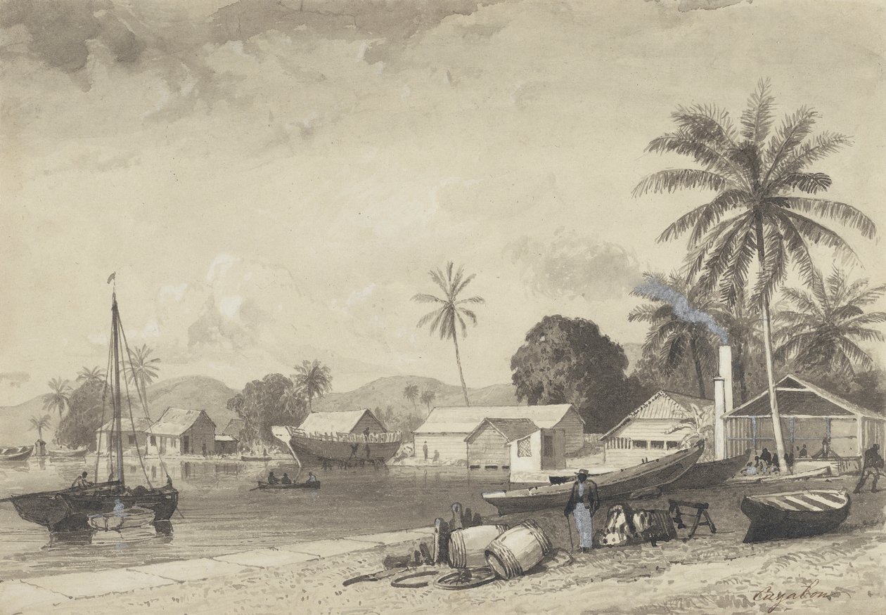 Corbeaux Town, Port of Spain by Michel Jean Cazabon
