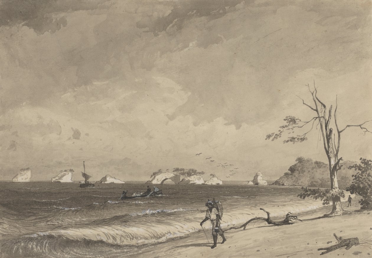 Los Gallos, Icacos Bay by Michel Jean Cazabon