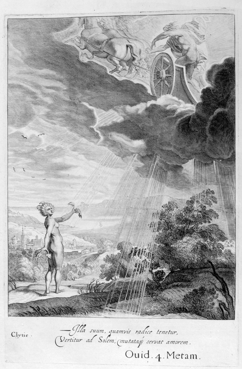 Clytie Transformed into a Sunflower, 1655 by Michel de Marolles