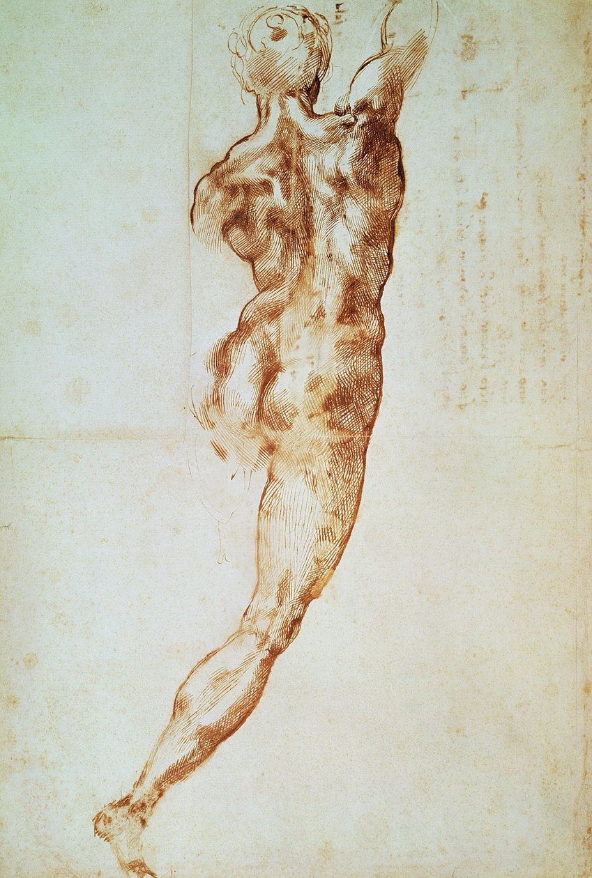 Nude, study for the Battle of Cascina by Michelangelo Buonarroti
