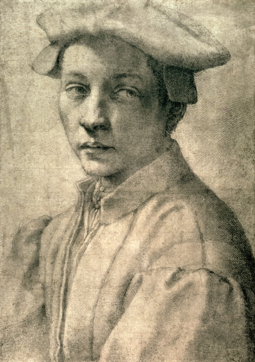 Portrait of Andrea Quaratesi, c.1532 by Michelangelo Buonarroti
