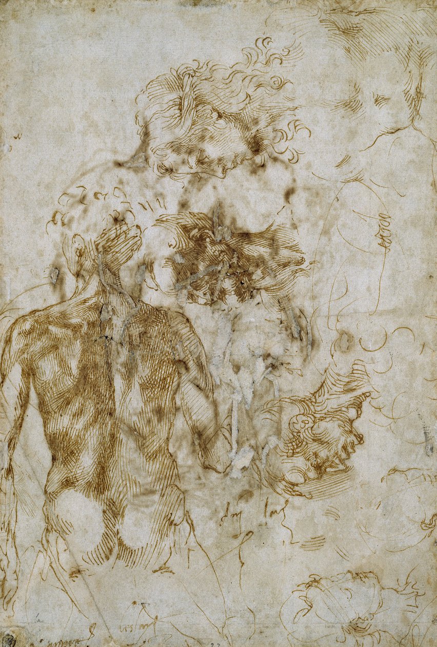 Studies of Male Nude by Michelangelo Buonarroti