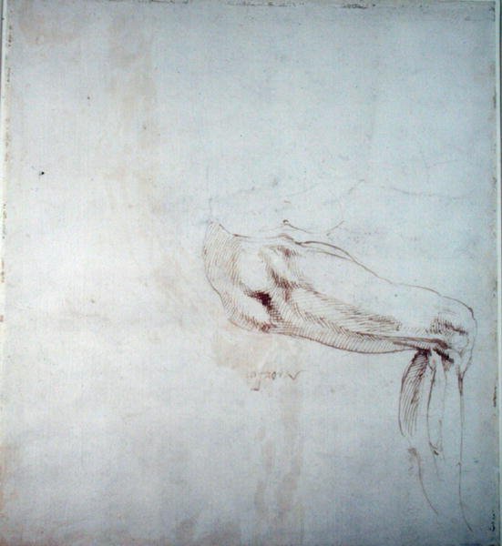 Study of a Leg with Notes (recto) by Michelangelo Buonarroti