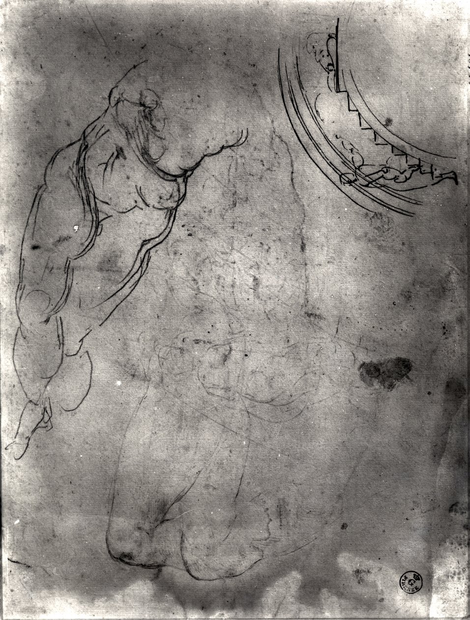 Study of a male nude by Michelangelo Buonarroti