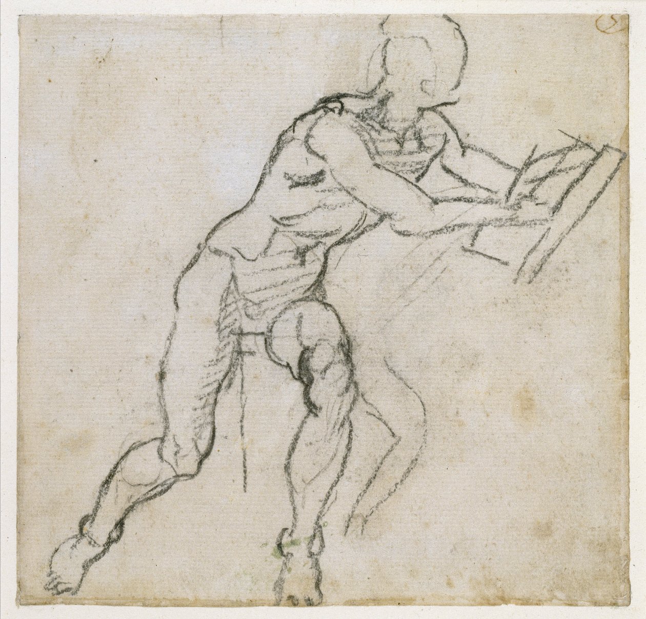 Study of a seated male nude by Michelangelo Buonarroti