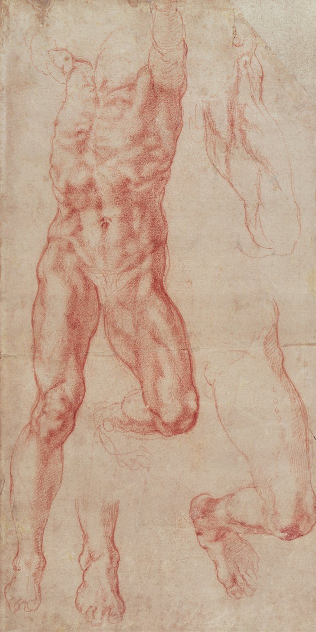 Study of a male nude, stretching upwards by Michelangelo Buonarroti
