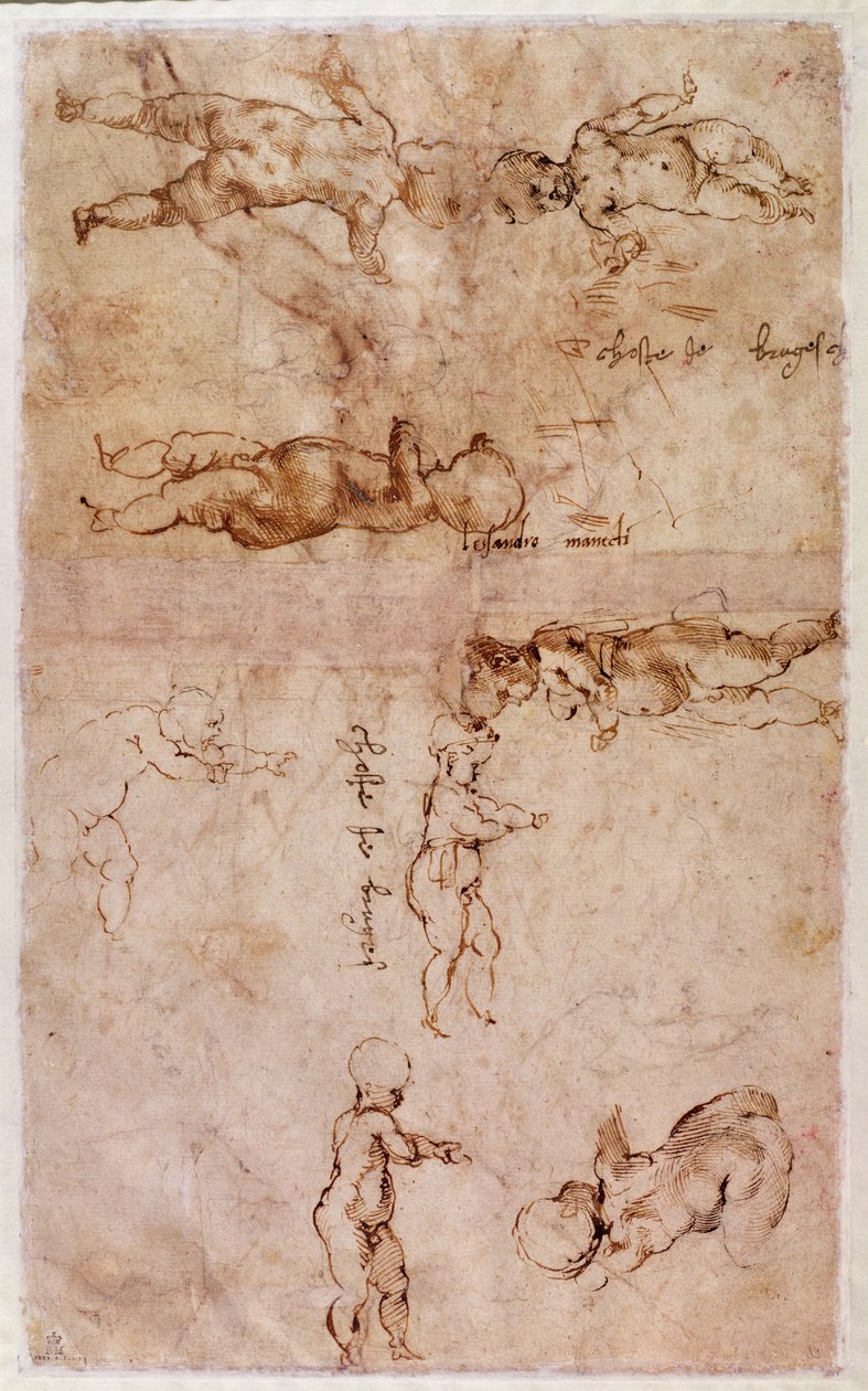 Page of sketches of babies or cherubs by Michelangelo Buonarroti