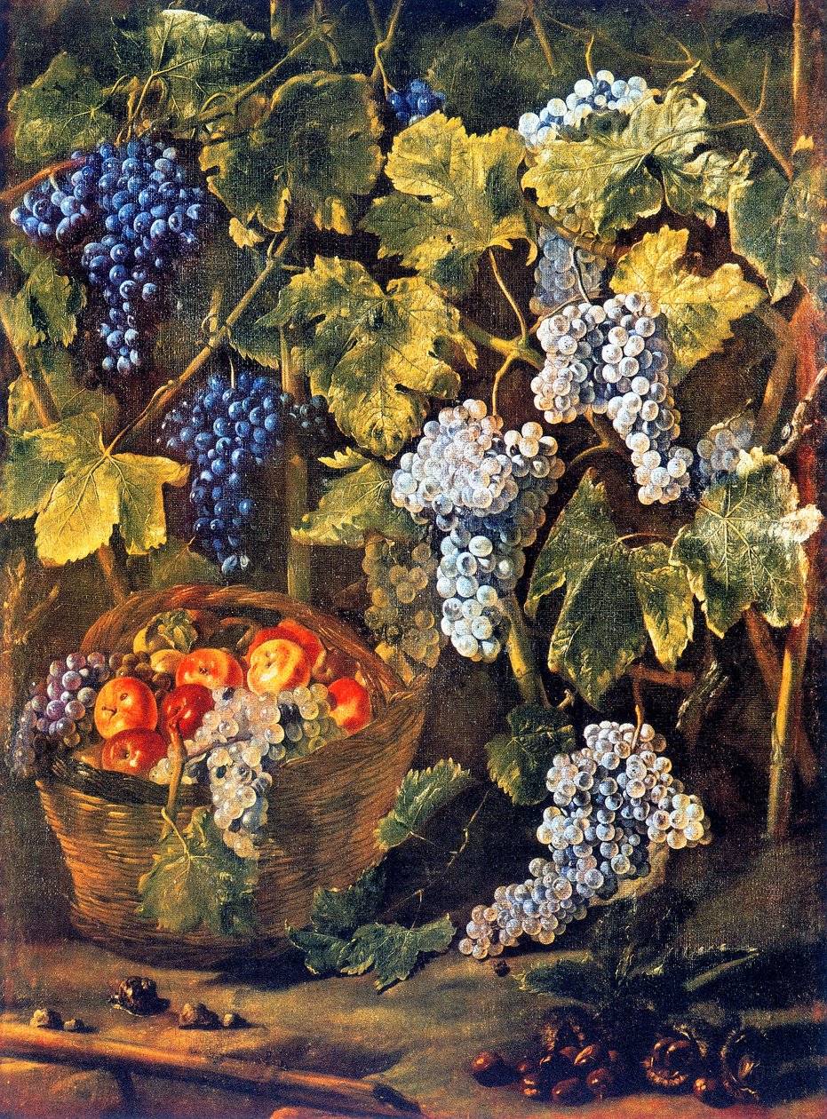 Still Life with a Basket of Fruit, Chestnuts and a Background of Vines and Bunches of Grapes by Michelangelo Cerquozzi