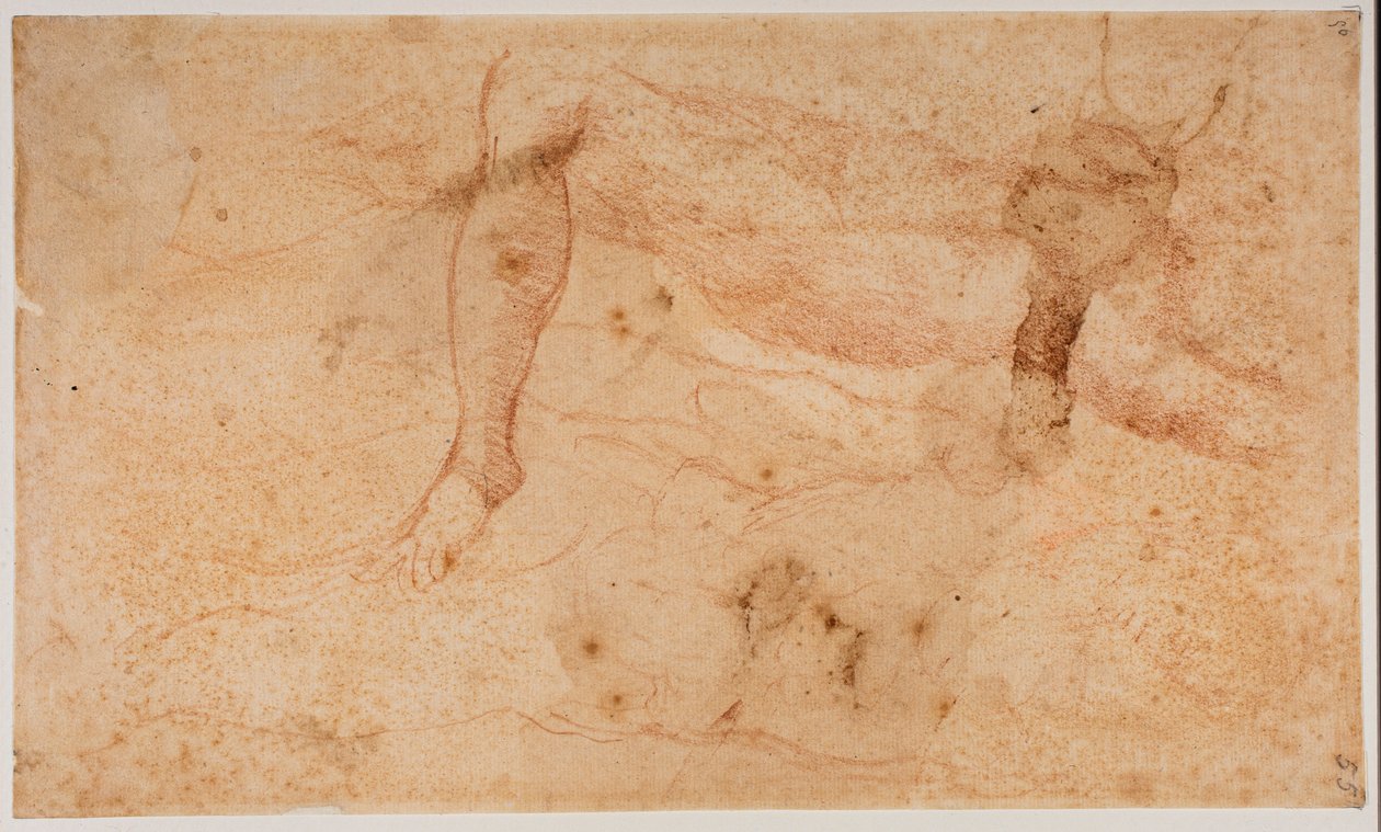 Studies of Nudes by Michelangelo (after) Buonarroti
