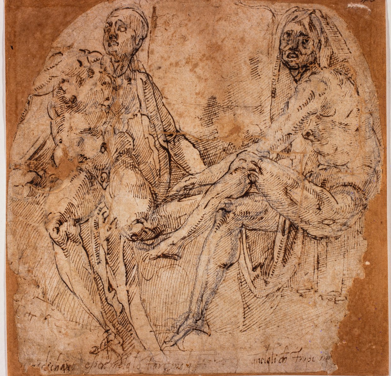 Studies of Nudes by Michelangelo (after) Buonarroti