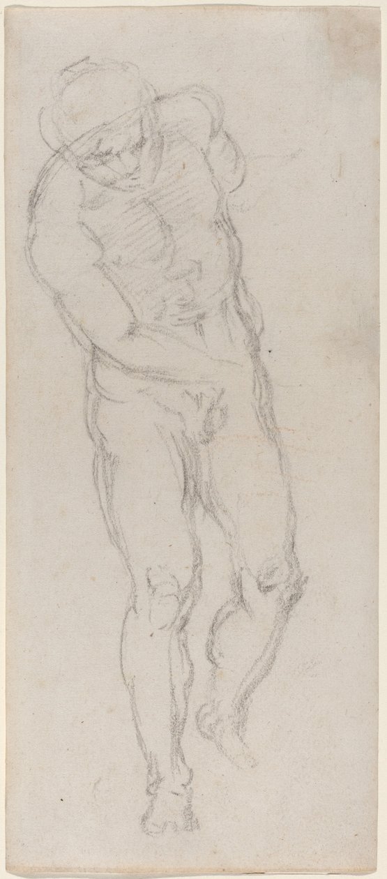 Male Nude by Michelangelo