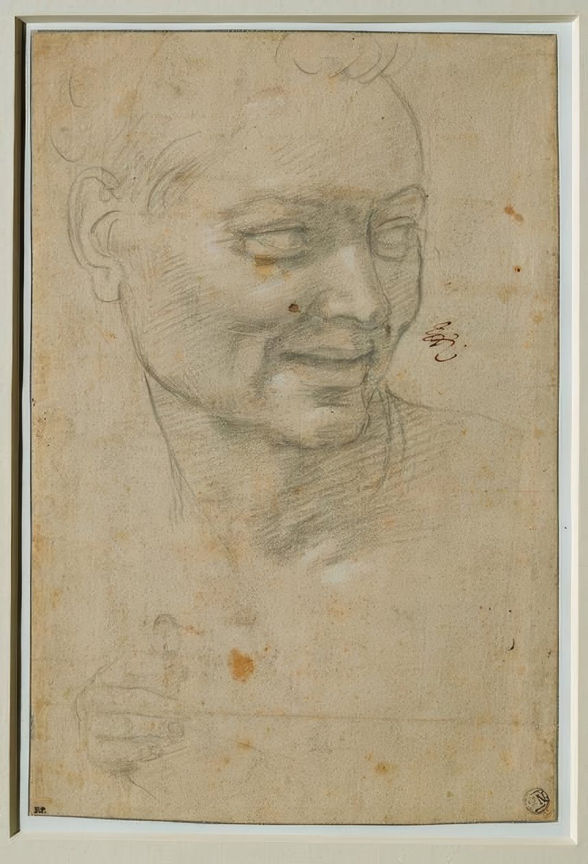 Head and Right Hand of the Ignudo Above and to the Left of Isaiah by Michelangelo Buonarroti