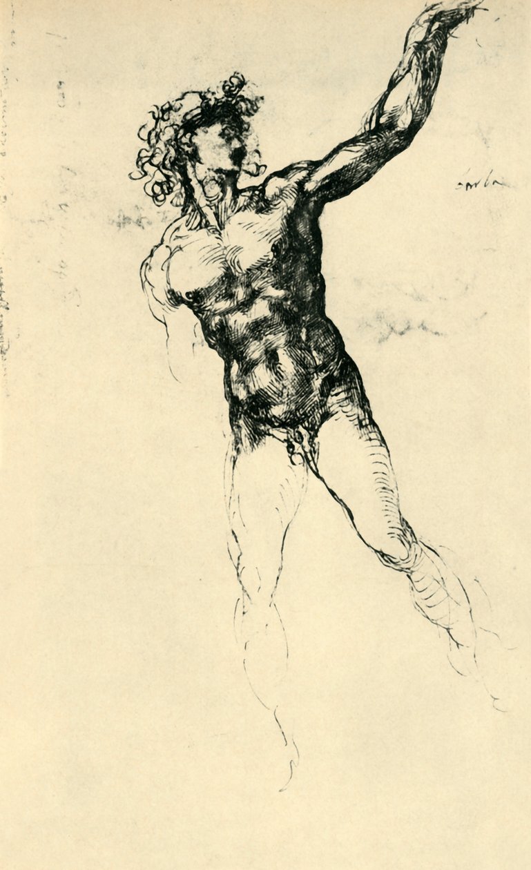 Male Nude by Michelangelo Buonarroti