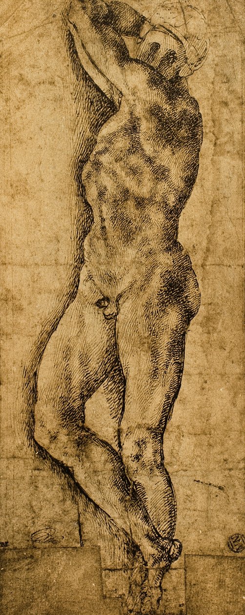 Male Nude by Michelangelo Buonarroti