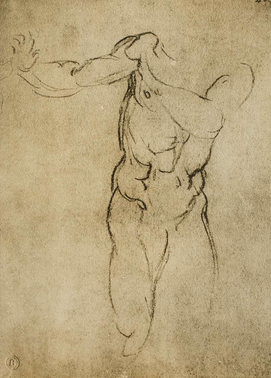 Study for a masculine bust by Michelangelo Buonarroti