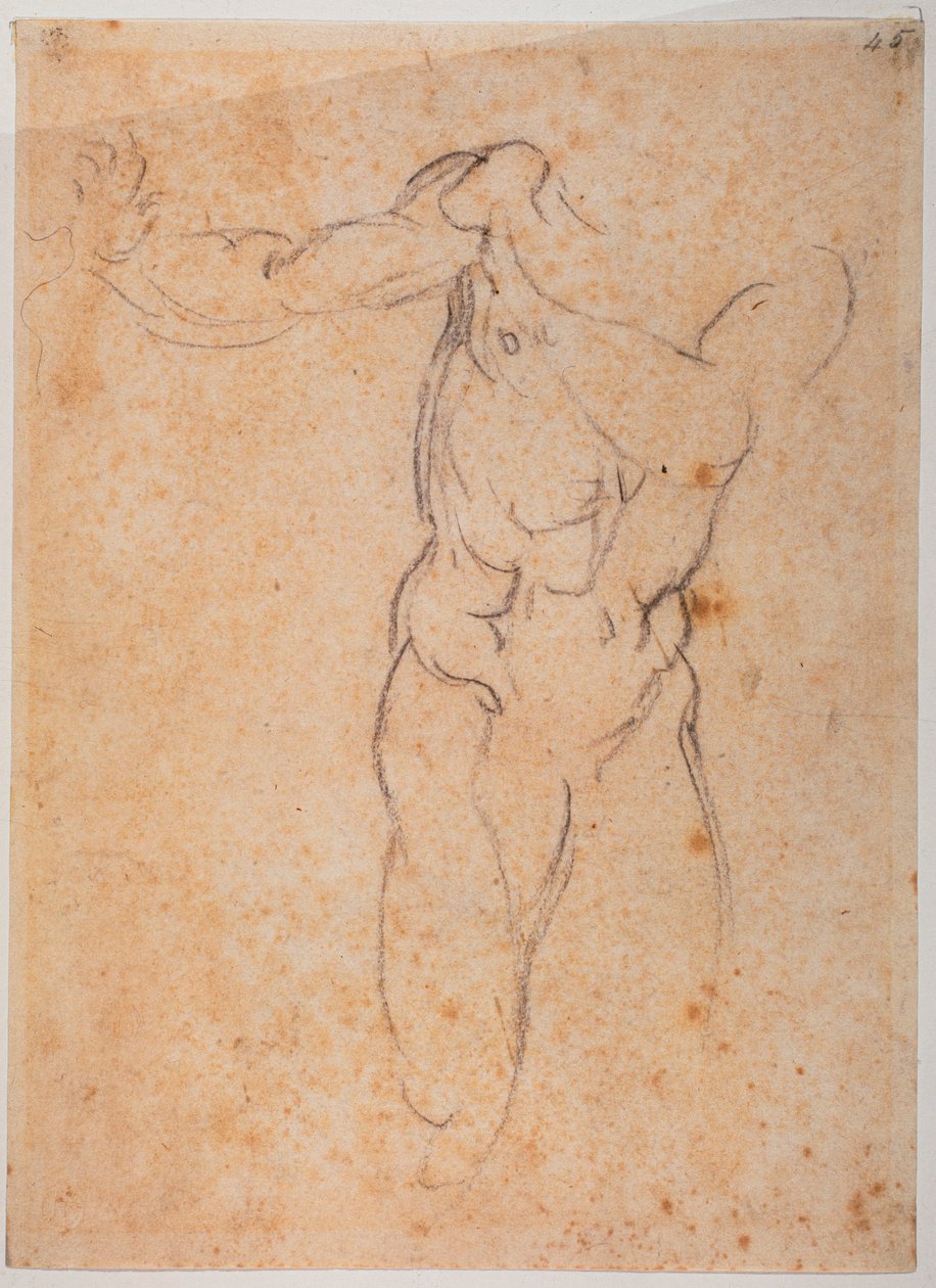 Study for the Adam of the 'Expulsion from Paradise' in the Sistine Chapel