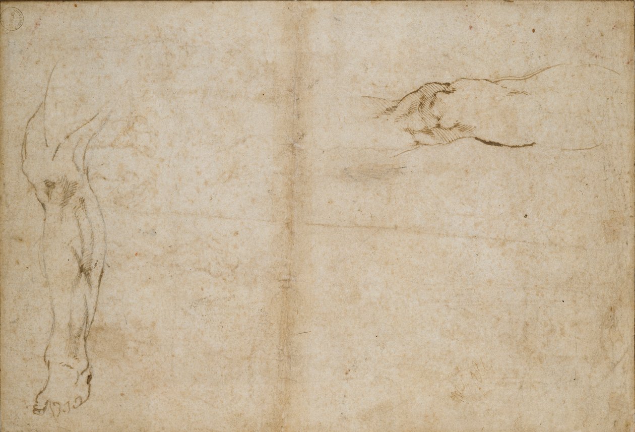 Verso: Studies of a Man