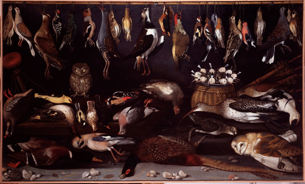 Still Life with Birds by Michelangelo Merisi da (attr. to) Caravaggio