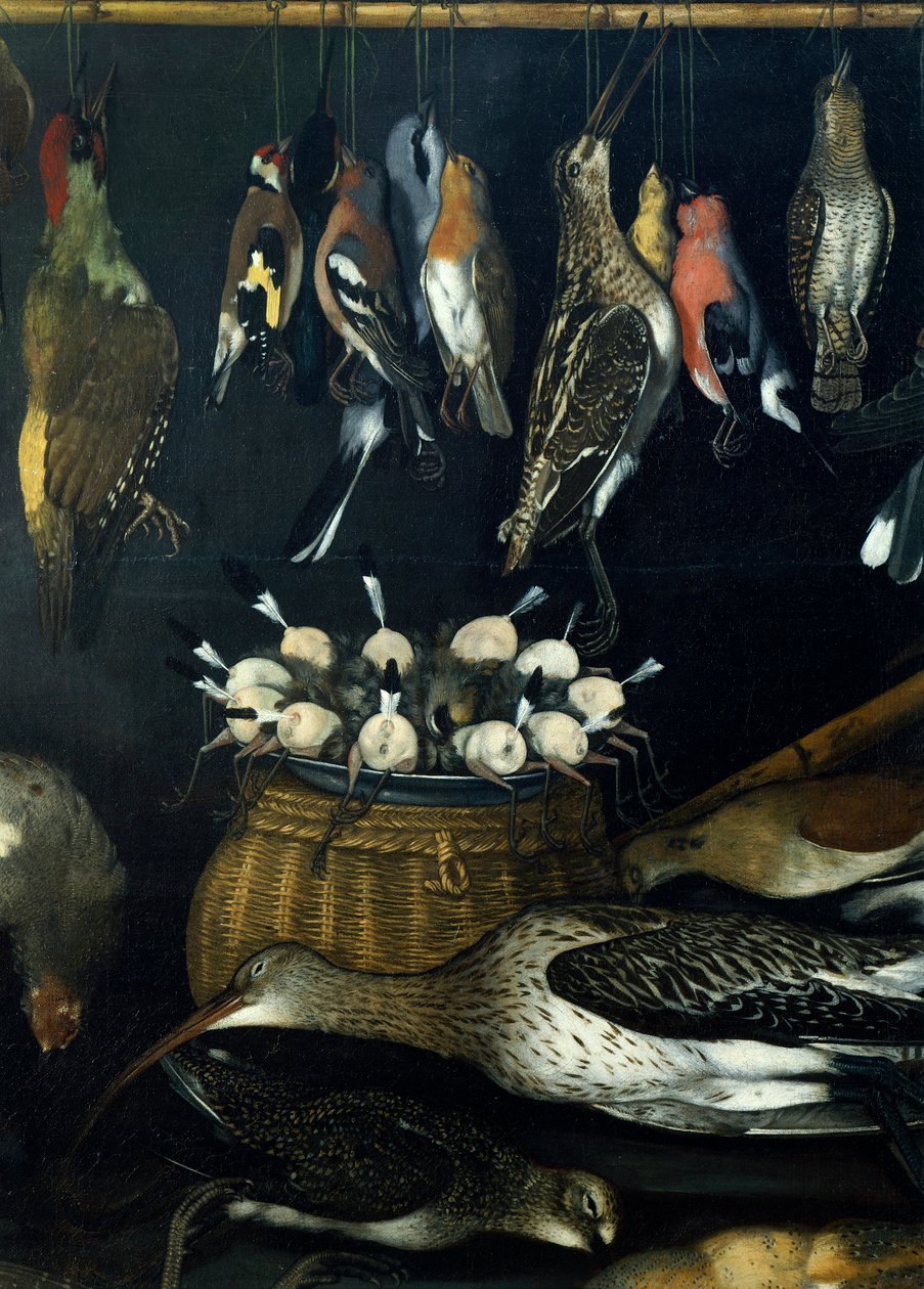 Still Life with Birds (detail) by Michelangelo Merisi da Caravaggio