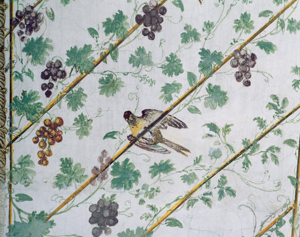 Vault of the Cellar, Villa Medicea di Careggi (detail) by Michelozzo di Bartolommeo