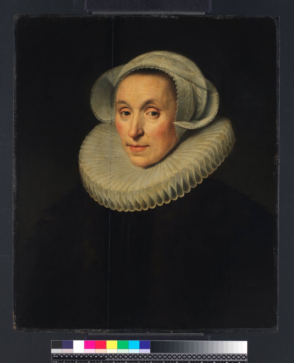 Portrait of a Lady by Michiel Jansz. van Miereveld