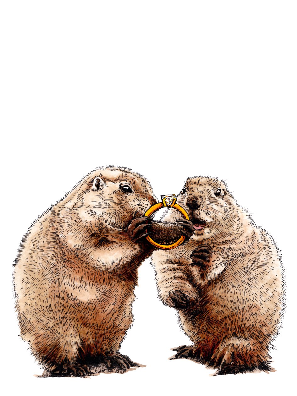 Engaged Prairie Dogs on White, 2020 by Mike Davis