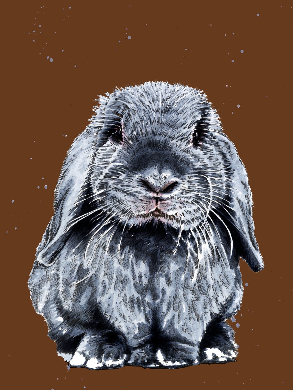 Grey One The Bunny by Mike Davis