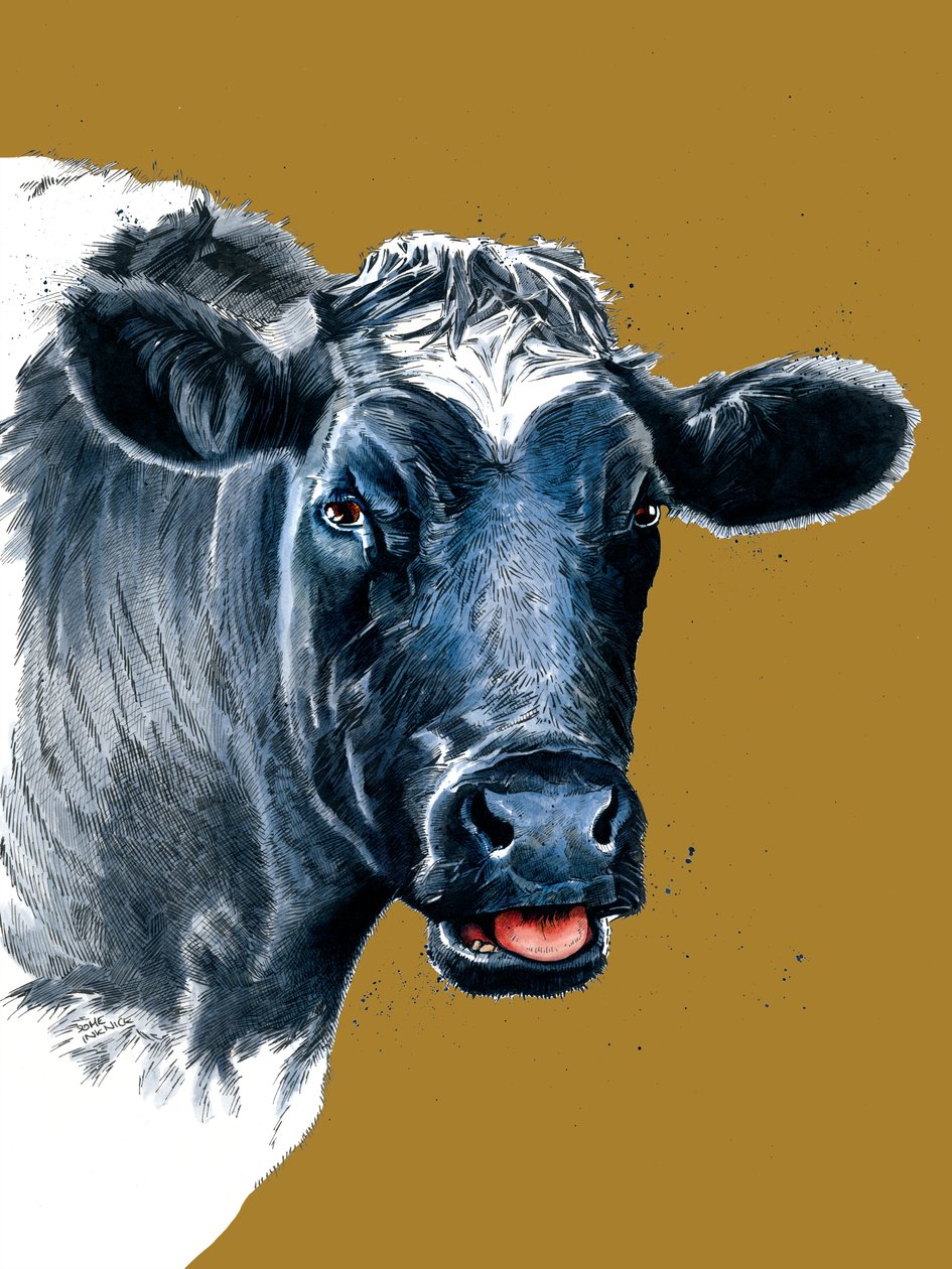 The Cow on Golden Yellow by Mike Davis