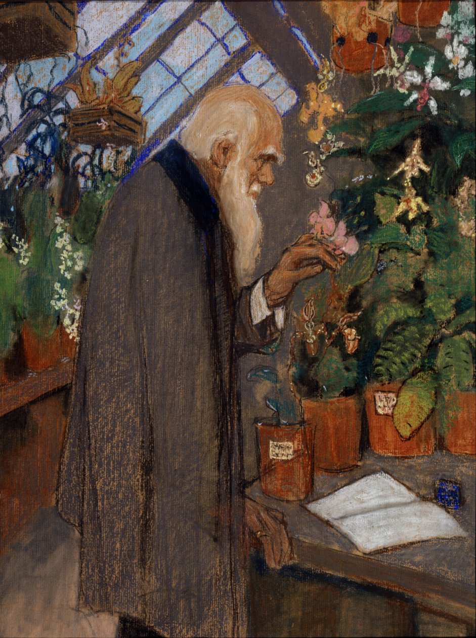 Portrait of Scientist Charles Robert Darwin (1809-1882) Examining Plants in the Langdon-Down Greenhouse by Mikhail Dmitrievich Ezuchevsky