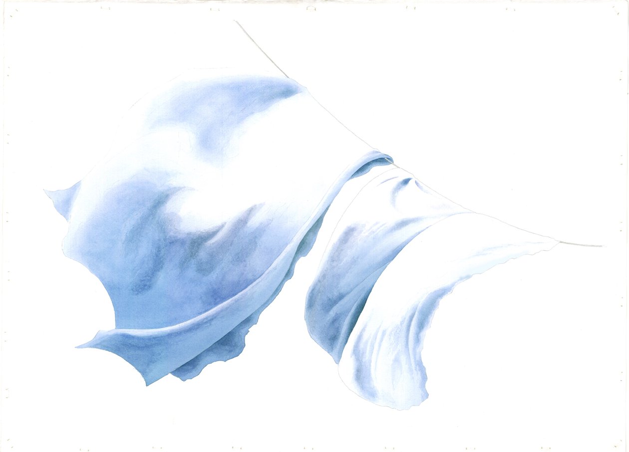 Sheet and Pillowcases in Tiree Wind, 2004 by Miles Contemporary Artist Thistlethwaite