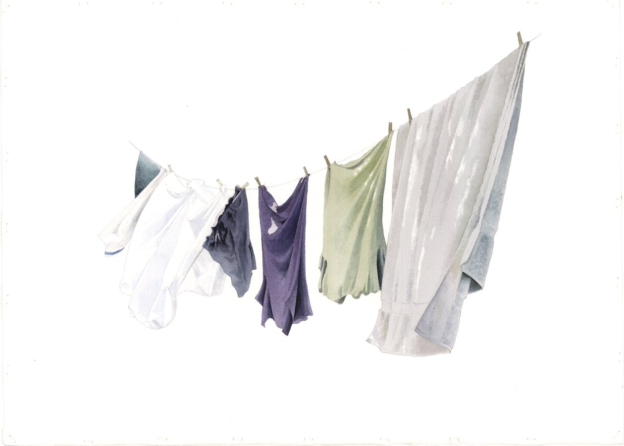 Spring Washing-line, 2003 by Miles Contemporary Artist Thistlethwaite