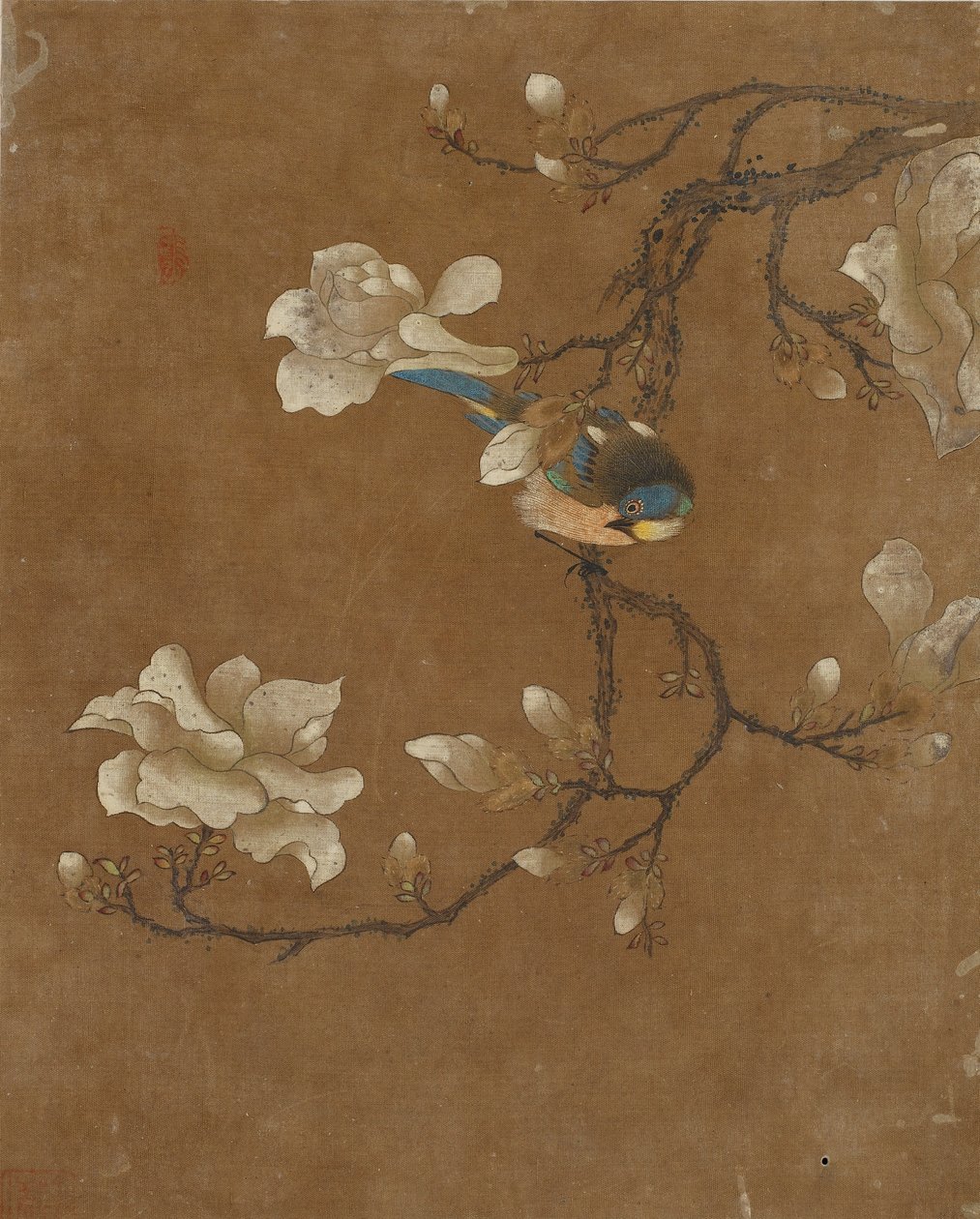 Ten pictures of birds and flowers by Ming Dynasty Chinese School