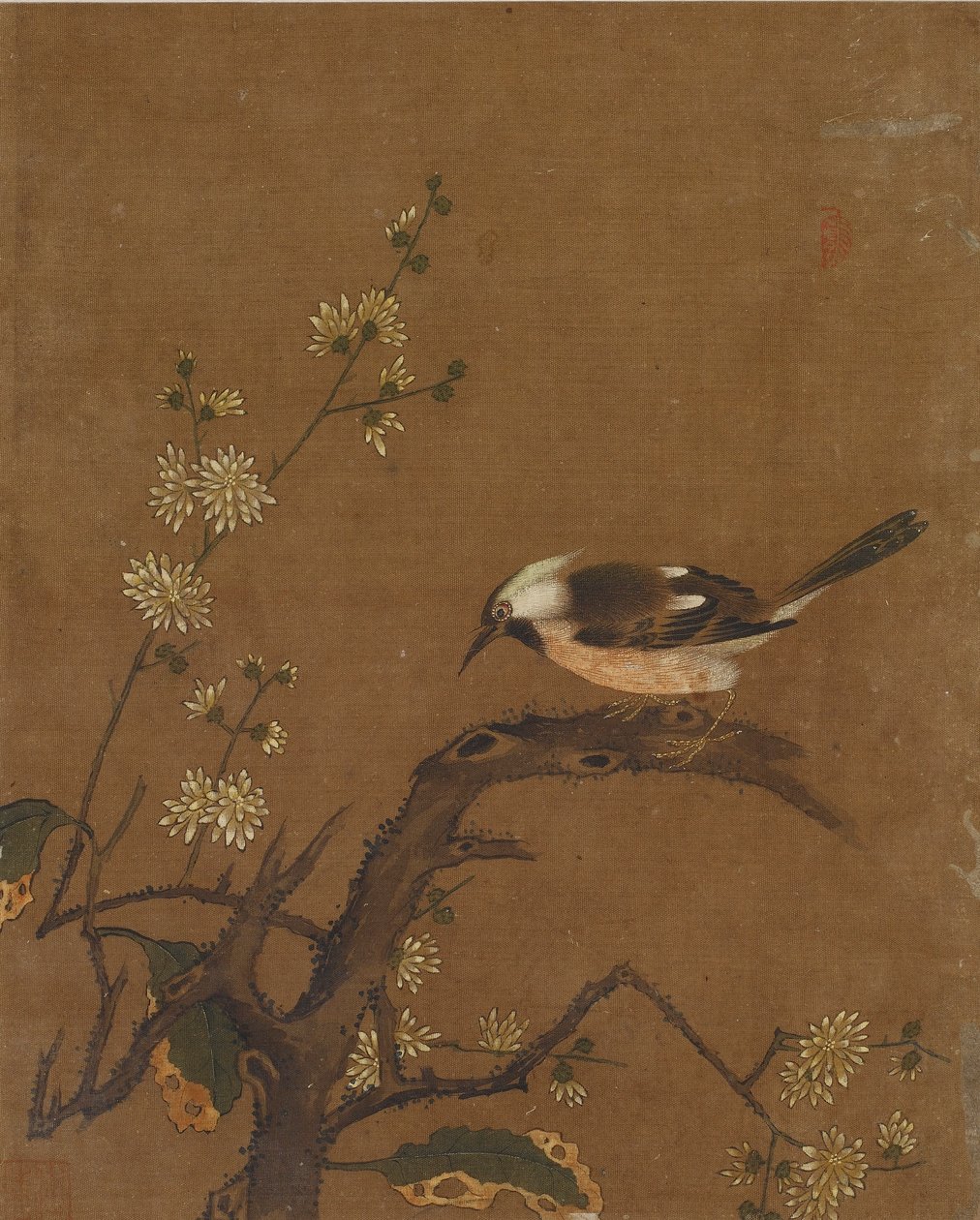 Ten pictures of birds and flowers by Ming Dynasty Chinese School