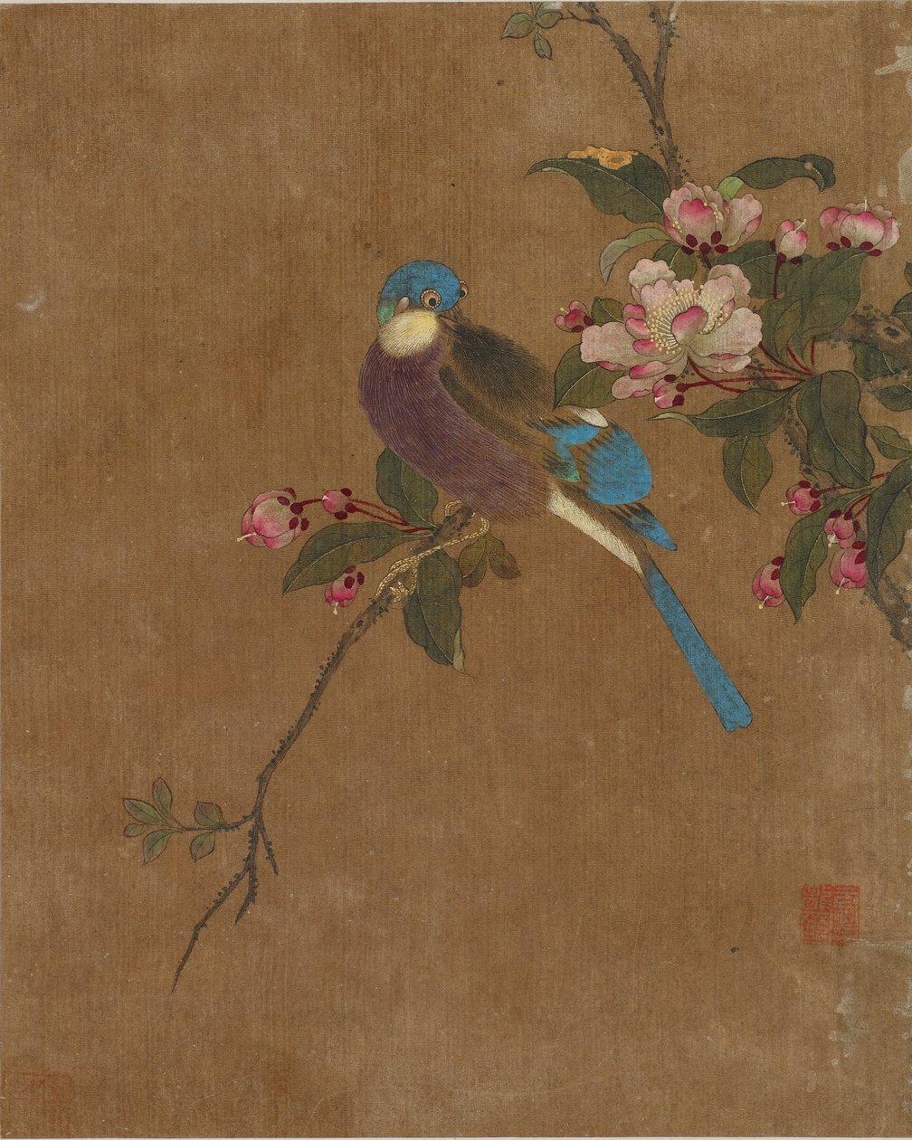 Ten pictures of birds and flowers by Ming Dynasty Chinese School