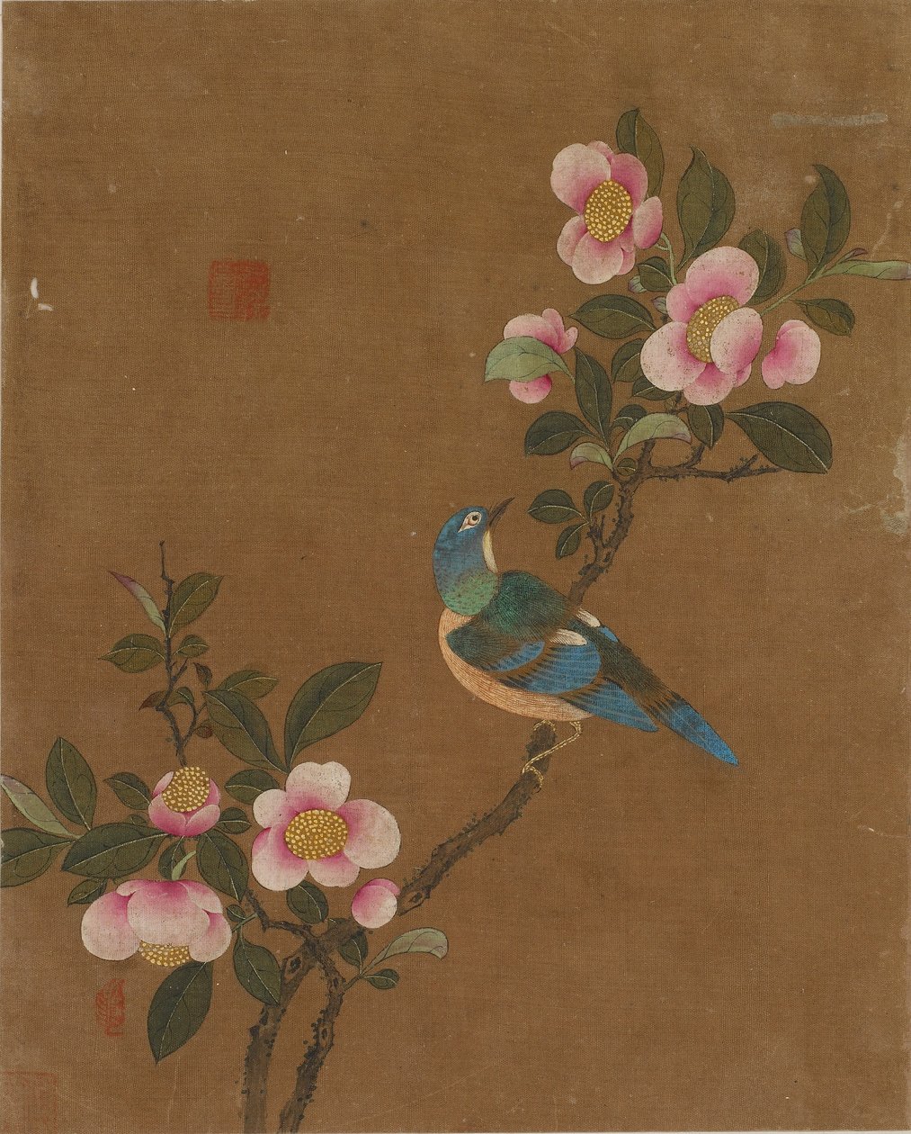 Ten pictures of birds and flowers by Ming Dynasty Chinese School
