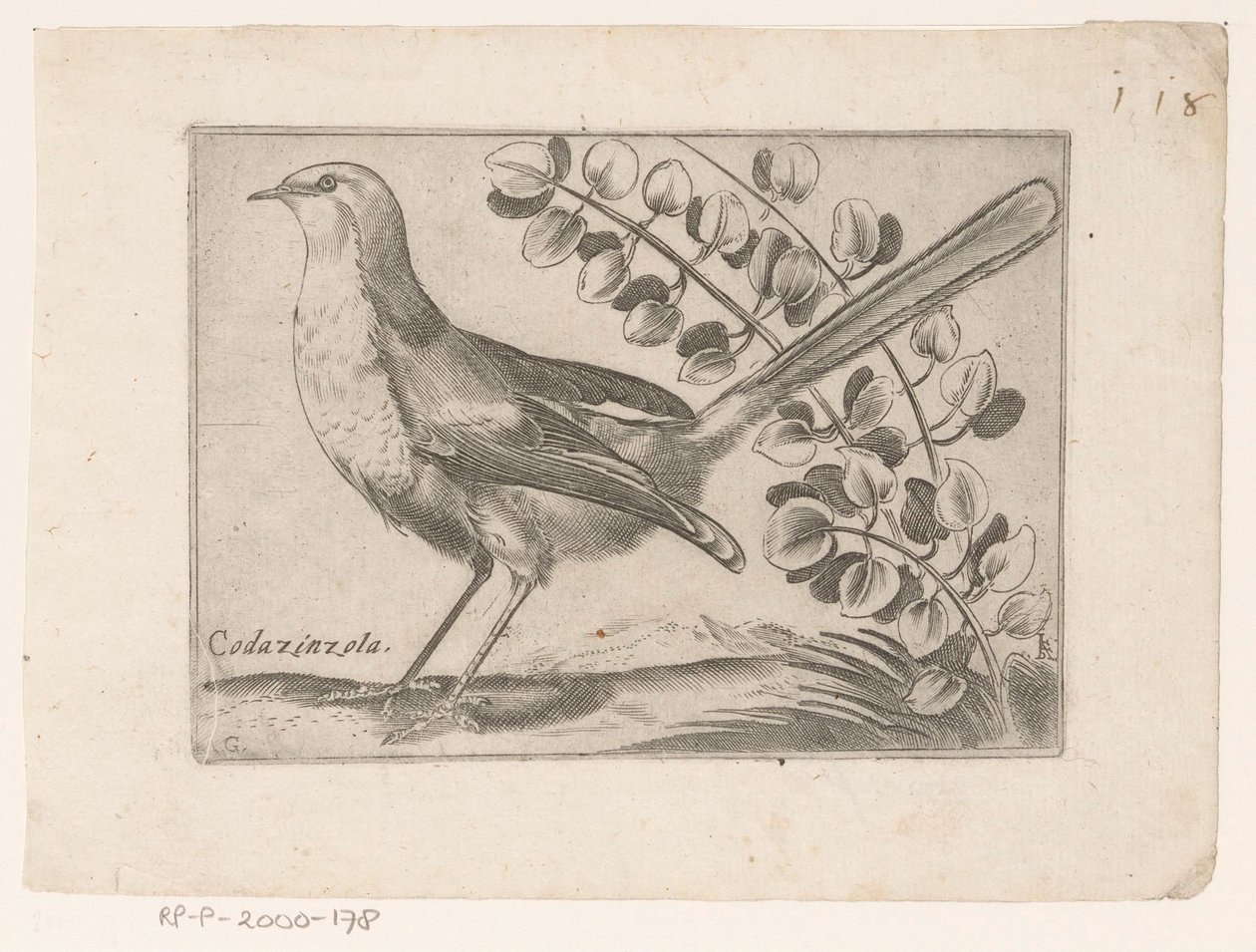 Bird by Monogrammist AG