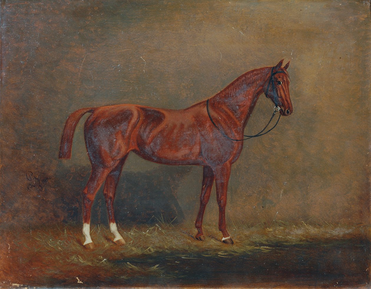 Portrait of a Riding Horse by Monogrammist A. G.